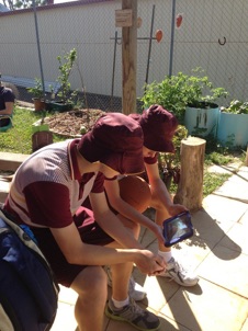 students sitting at school ground discussing projects