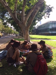 image of students sitting under a tree on an excursion