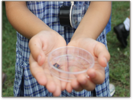 student holding a specimen